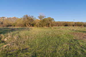 View of local wilderness with a rural view and a mountain view