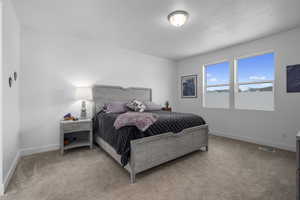 Bedroom with light colored carpet