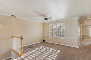 Carpeted empty room featuring ceiling fan and ornamental molding