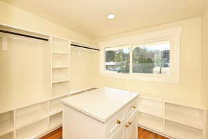 Spacious closet with dark wood-type flooring