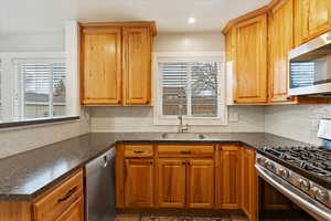 Kitchen featuring tasteful backsplash, sink, and appliances with stainless steel finishes