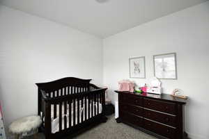 Carpeted bedroom with a nursery area