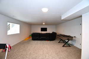 Game room with light carpet