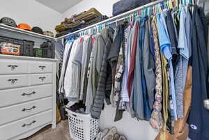 Walk in closet with carpet