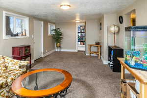 Carpeted living room with a textured ceiling