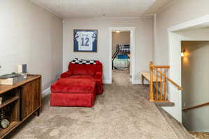 Living area with carpet.