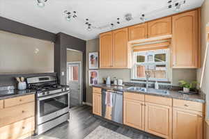 Kitchen with light brown cabinets, sink, rail lighting, dark hardwood / wood-style floors, and appliances with stainless steel finishes