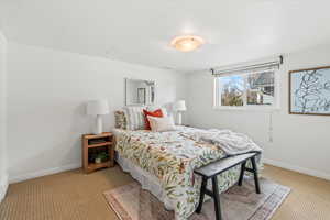 Bedroom with light colored carpet