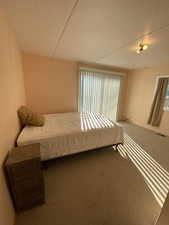 Carpeted bedroom featuring multiple windows