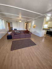 Living room featuring light wood-type flooring