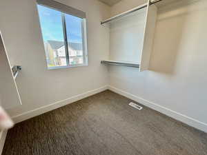 Spacious closet featuring carpet