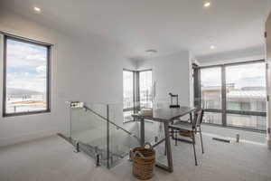 Carpeted dining room featuring a wealth of natural light