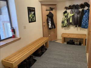 Mudroom featuring carpet flooring