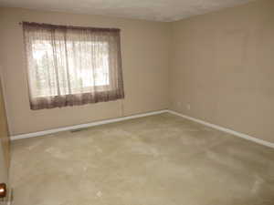 Carpeted spare room with a wealth of natural light