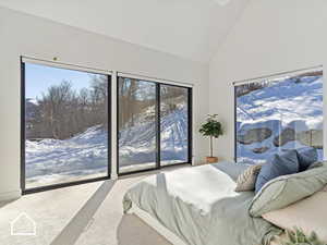 Bedroom with carpet and high vaulted ceiling