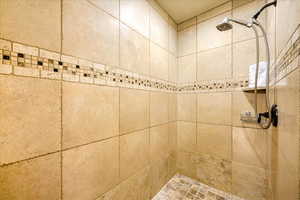 Interior details featuring tiled shower