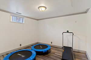 Workout room with hardwood / wood-style flooring and ornamental molding