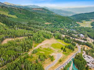 Aerial view with a mountain view