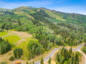 Birds eye view of property with a mountain view