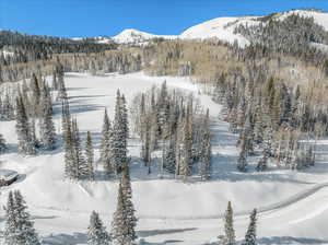 View of mountain feature