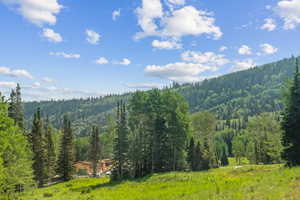 Property view of mountains