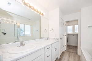 Primary Bathroom featuring a washtub, vanity, hardwood / wood-style flooring, and a wealth of natural light