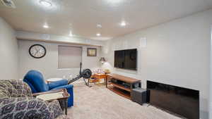 Basement Family Room