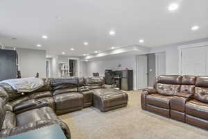 Cinema room featuring light colored carpet