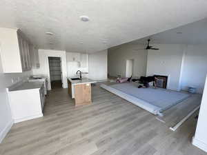 Kitchen with light hardwood / wood-style floors, sink, a center island with sink, and a textured ceiling