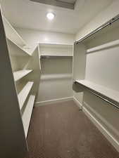 Walk in closet with carpet flooring