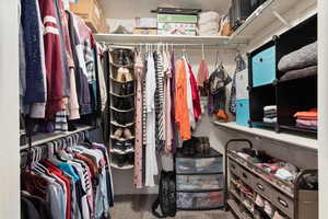 Spacious closet with carpet flooring