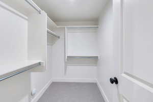 Spacious closet with light carpet