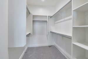 Spacious closet featuring carpet