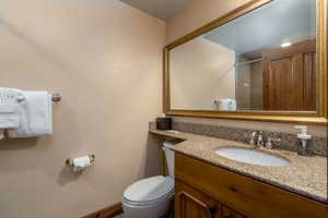 Bathroom with vanity and toilet