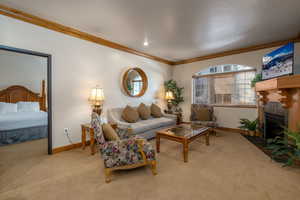 Carpeted living room featuring crown molding and a tiled fireplace