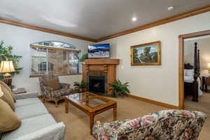 Living room featuring crown molding, a fireplace, and light carpet