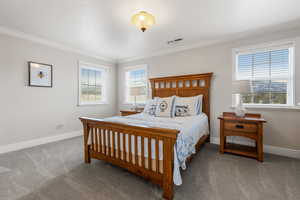 Bedroom featuring crown molding and carpet