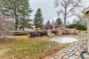 View of yard with a playground and a trampoline