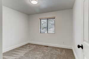 Empty room featuring carpet flooring and a textured ceiling