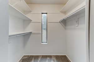 Spacious closet with carpet floors