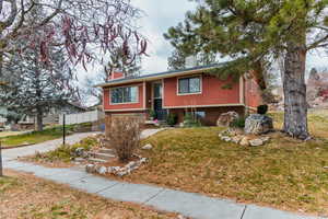 Raised ranch featuring a front lawn