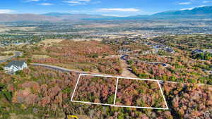 Bird's eye view with a mountain view