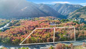 Birds eye view of property with a mountain view