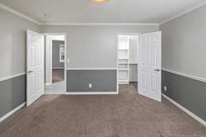 Unfurnished bedroom with carpet, a walk in closet, crown molding, and a closet