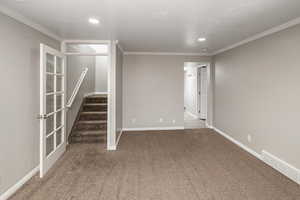 Basement featuring carpet, a textured ceiling, and ornamental molding