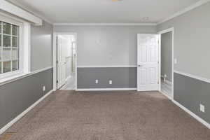 Unfurnished room with crown molding and light colored carpet