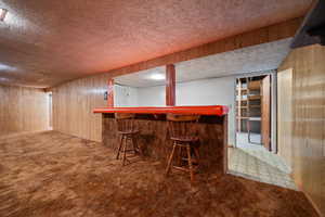 Bar featuring carpet flooring and wooden walls