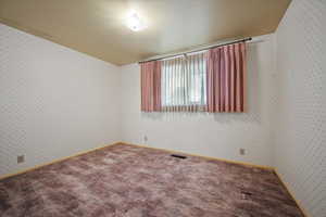 Spare room with carpet flooring