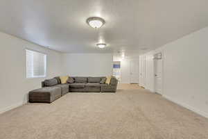 Living room featuring light carpet and a textured ceiling