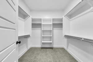 Spacious closet with carpet floors